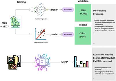 Who can benefit from postmastectomy radiotherapy among HR+/HER2- T1-2 N1M0 breast cancer patients? An explainable machine learning mortality prediction based approach